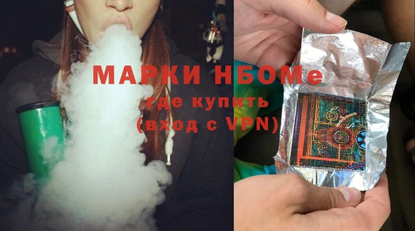 индика Арсеньев